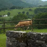 La Collada Летний дом