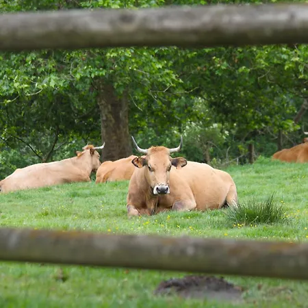 La Collada Hétvégi ház *